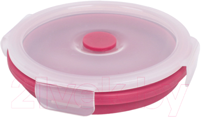 Контейнер Darvish DV-H-1874