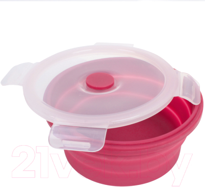 Контейнер Darvish DV-H-1874