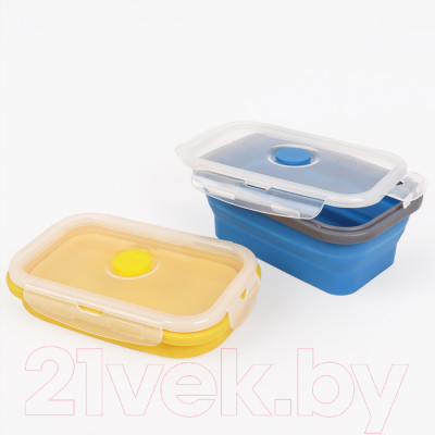 Контейнер Darvish DV-H-1869