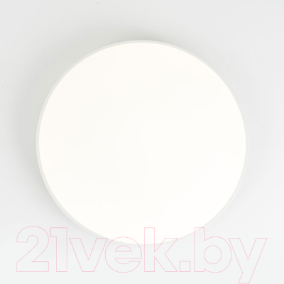 Потолочный светильник LED4U LT304-230