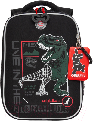 Школьный рюкзак Grizzly RAw-497-10