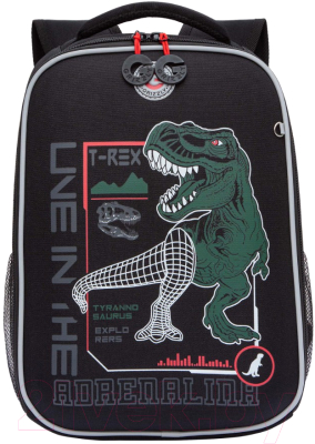 Школьный рюкзак Grizzly RAw-497-10