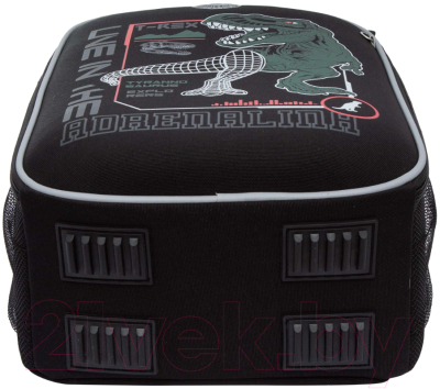 Школьный рюкзак Grizzly RAw-497-10