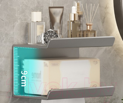 Полка для ванной Saniteco TBD0604303601C