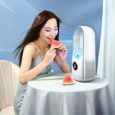 Вентилятор Sundays Home TBD0604427001A