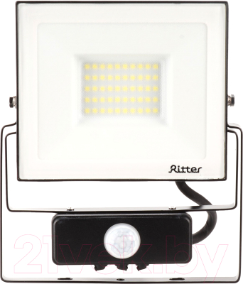 Прожектор REV Ritter Profi / 53421 5 - фото