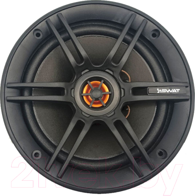 Коаксиальная АС Swat SP-C6 - фото