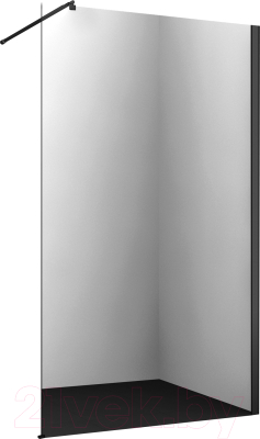 Душевая стенка Wasserkraft Abens 20W39 - фото