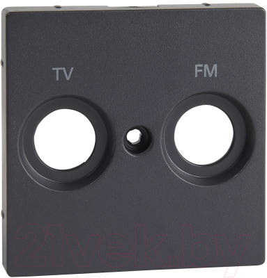 Лицевая панель для розетки Schneider Electric Merten MTN299514 - фото