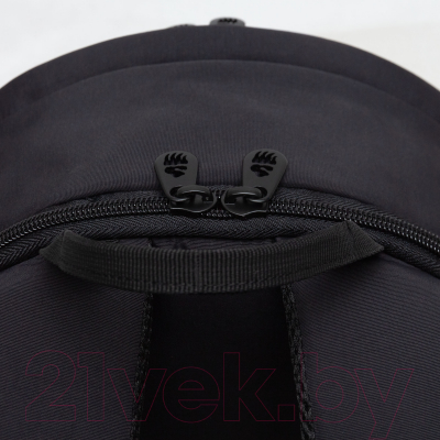 Рюкзак Grizzly RXL-424-1