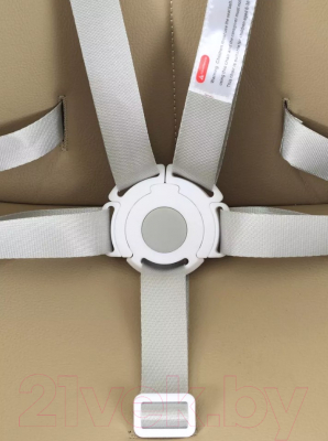 Стульчик для кормления Rant Juicy / RH160