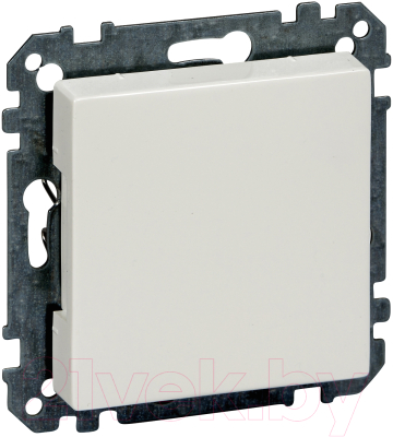 Декоративная заглушка для розетки Schneider Electric Merten MTN391619 - фото