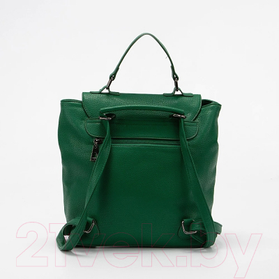 Рюкзак Passo Avanti 536-2301-GRN