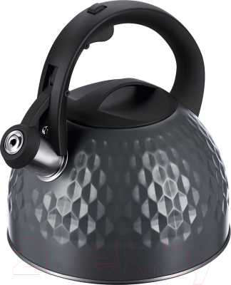 Чайник со свистком Regent Inox 93-TEA-47 - фото