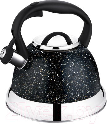 Чайник со свистком Regent Inox 93-TEA-48 - фото