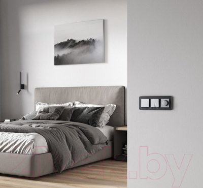 Выключатель Werkel W1112165 / a063615