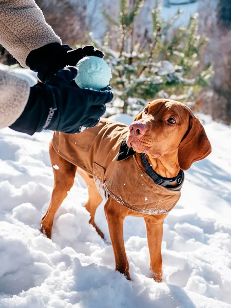 Игрушка для собак Explorer Dog TED134