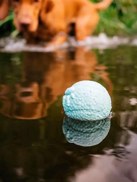 Игрушка для собак Explorer Dog TED134