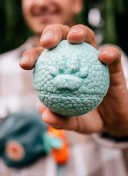 Игрушка для собак Explorer Dog TED134