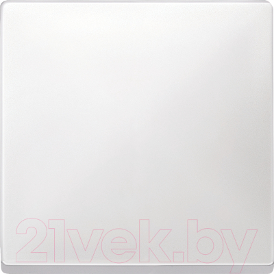 Клавиша для выключателя Schneider Electric Merten MTN412119 - фото