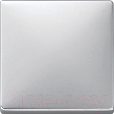 Клавиша для выключателя Schneider Electric Merten MTN412160 - фото