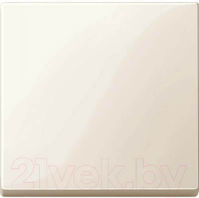 Клавиша для выключателя Schneider Electric Merten MTN432144 - фото