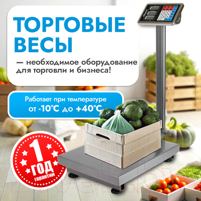 Весы платформенные Atlanta ATH-6113