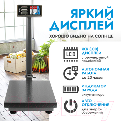 Весы платформенные Atlanta ATH-6113