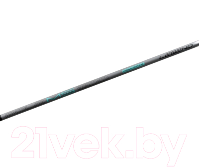 Удилище Flagman Fishing Legend Medium Strong Pole 5м / LGPMS500
