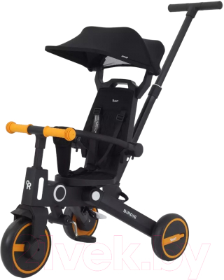 Трехколесный велосипед с ручкой Rant Birdie / RB202 - фото