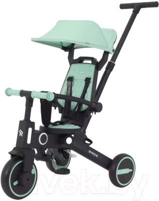 Трехколесный велосипед с ручкой Rant Birdie / RB202 - фото