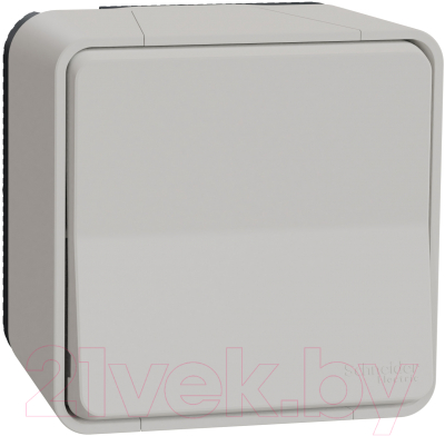 Выключатель Schneider Electric Mureva Styl MUR39021 - фото