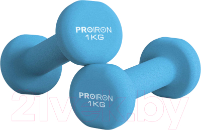 Набор гантелей Proiron Неопреновые / Г2010СНЕО - фото