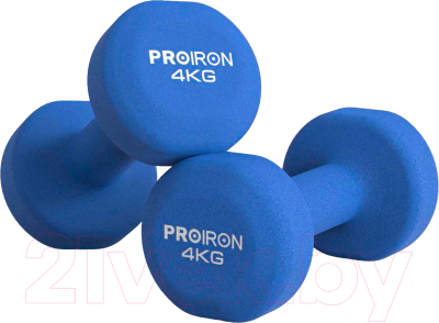 Набор гантелей Proiron Неопреновые / Г2040НЕО - фото