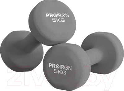 Набор гантелей Proiron Неопреновые / Г2050НЕО - фото