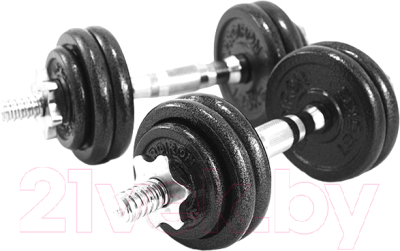 Набор гантелей разборных Proiron Г2075Ч - фото