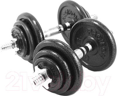 Набор гантелей разборных Proiron Г2100Ч - фото