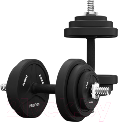 Набор гантелей разборных Proiron Г2100РО - фото