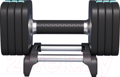 Гантель разборная Proiron ГБ1100Р - фото