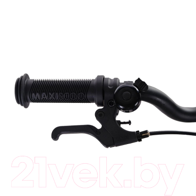 Детский велосипед Maxiscoo Jazz Стандарт Плюс 2024 / MSC-J1631