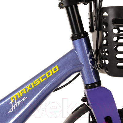 Детский велосипед Maxiscoo Jazz Pro 2024 / MSC-J1431P