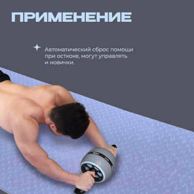 Ролик для пресса Proiron РПИ01