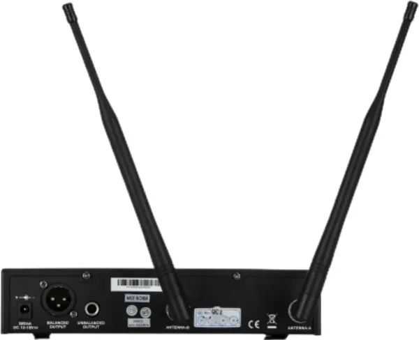 Радиосистема микрофонная Pasgao PAW-900 Rx PAH-801 TxH 
