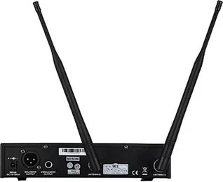 Радиосистема микрофонная Pasgao PAW-900 Rx PBT-801 TxB 