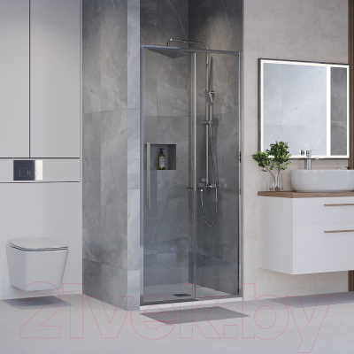 Душевая дверь Niagara NG-64-13A 130x195