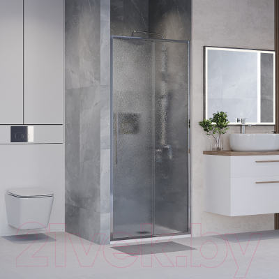 Душевая дверь Niagara NG-65-10CH 100x195