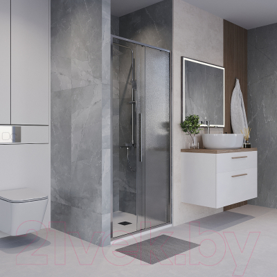 Душевая дверь Niagara NG-65-12CH 120x195