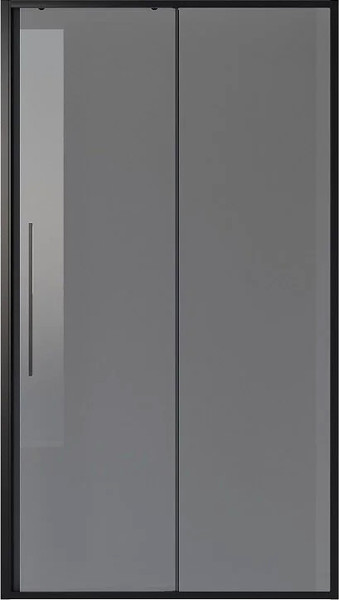 Душевая дверь Niagara NG-85-12TB 120x195 - фото