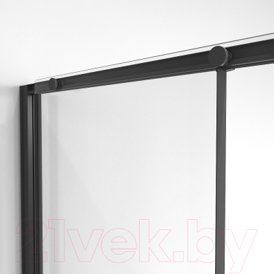 Душевая дверь Niagara NG-84-11AB 110x195