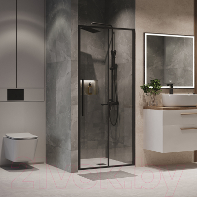 Душевая дверь Niagara NG-84-11AB 110x195